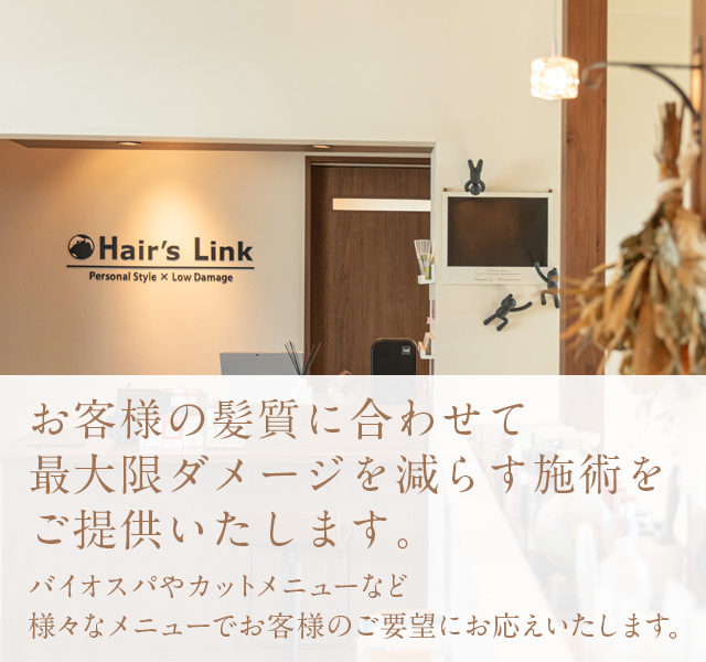 Hair's Link
